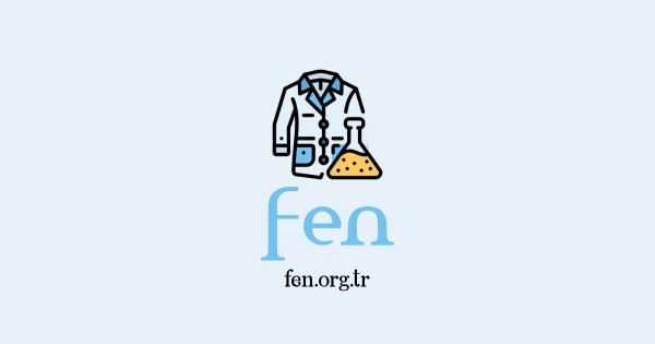 fen.org.tr